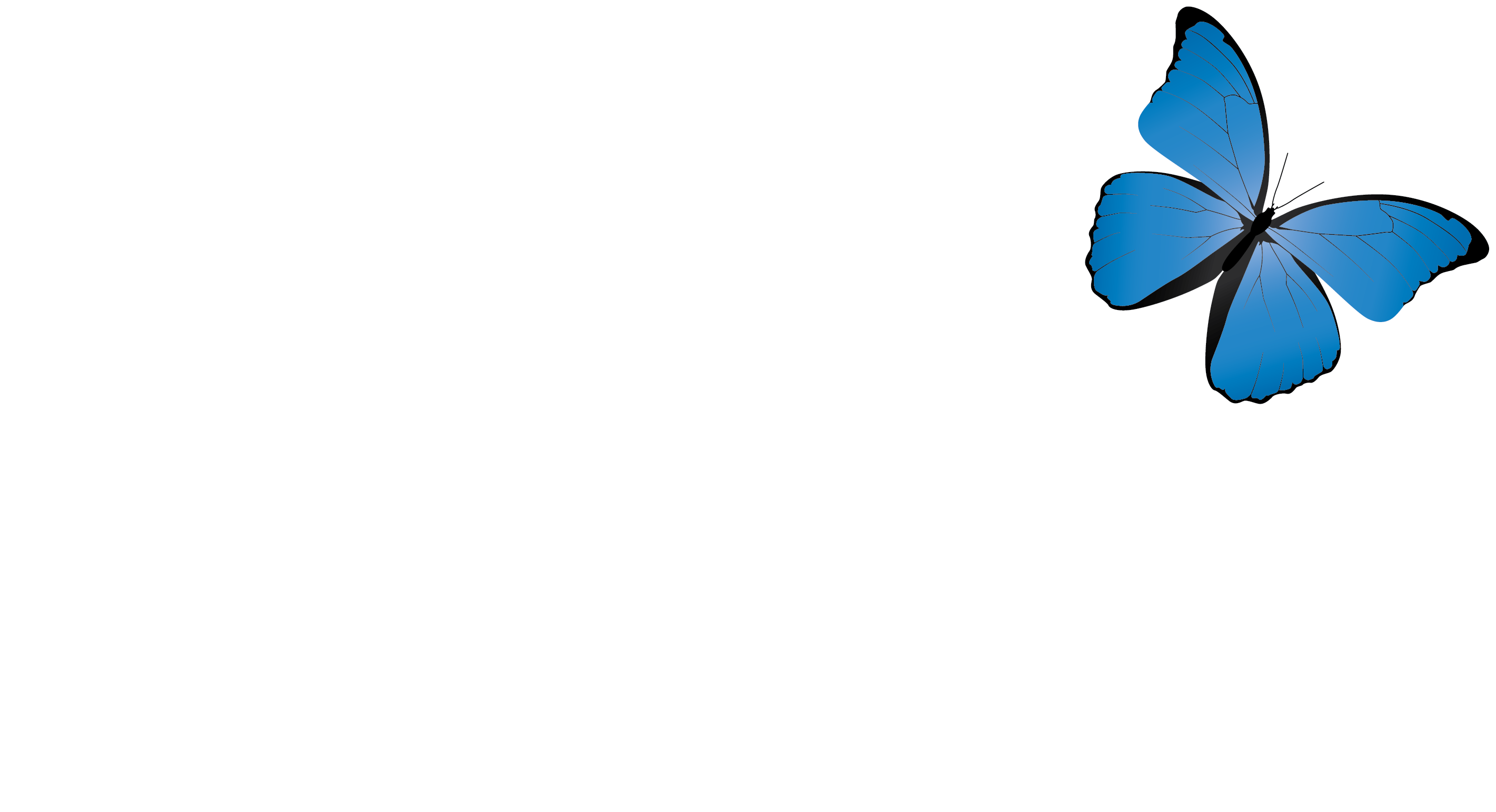 Perfect Windows and Doors Logo
